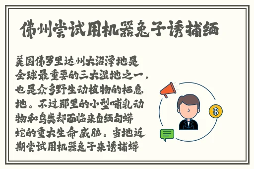 春天 高清 怎么看